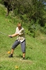 sommer2002_82