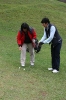 Finaltag -_4