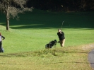 RyderCup 08 13