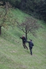 032___ryder_cup_09