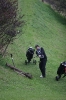 041___ryder_cup_09