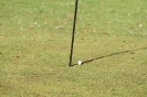 139_4ryder_cup_2010_3doppel